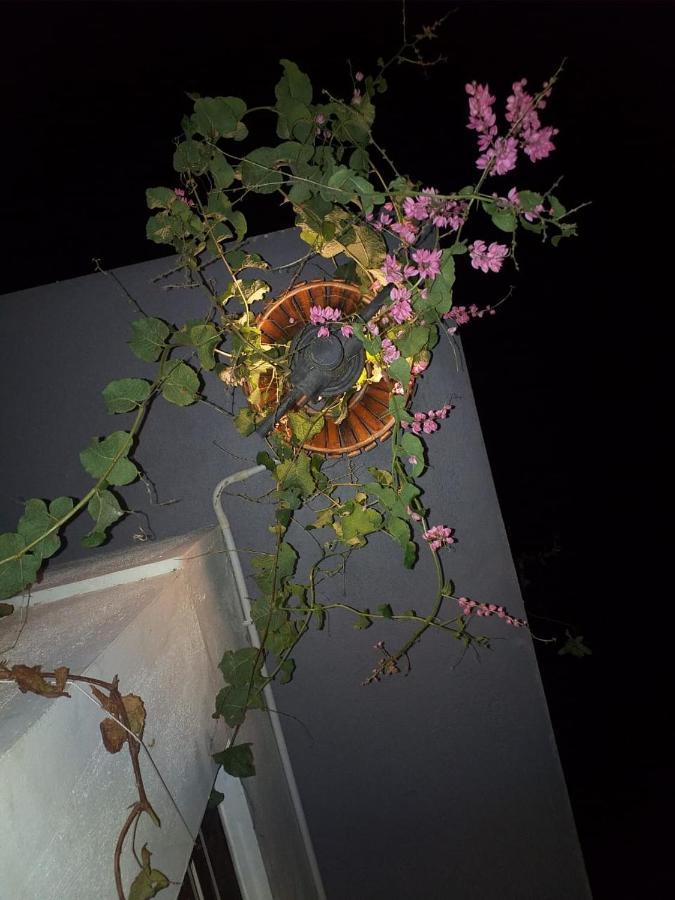 Mango Tree Homestay 亨比 外观 照片