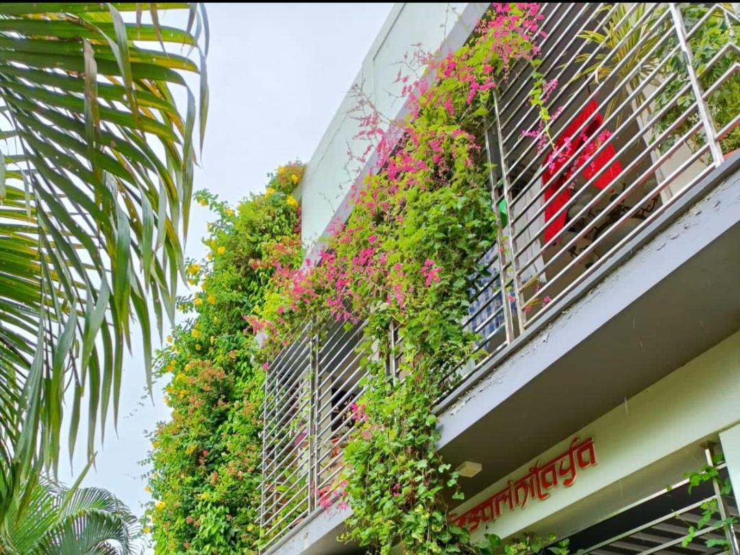 Mango Tree Homestay 亨比 外观 照片