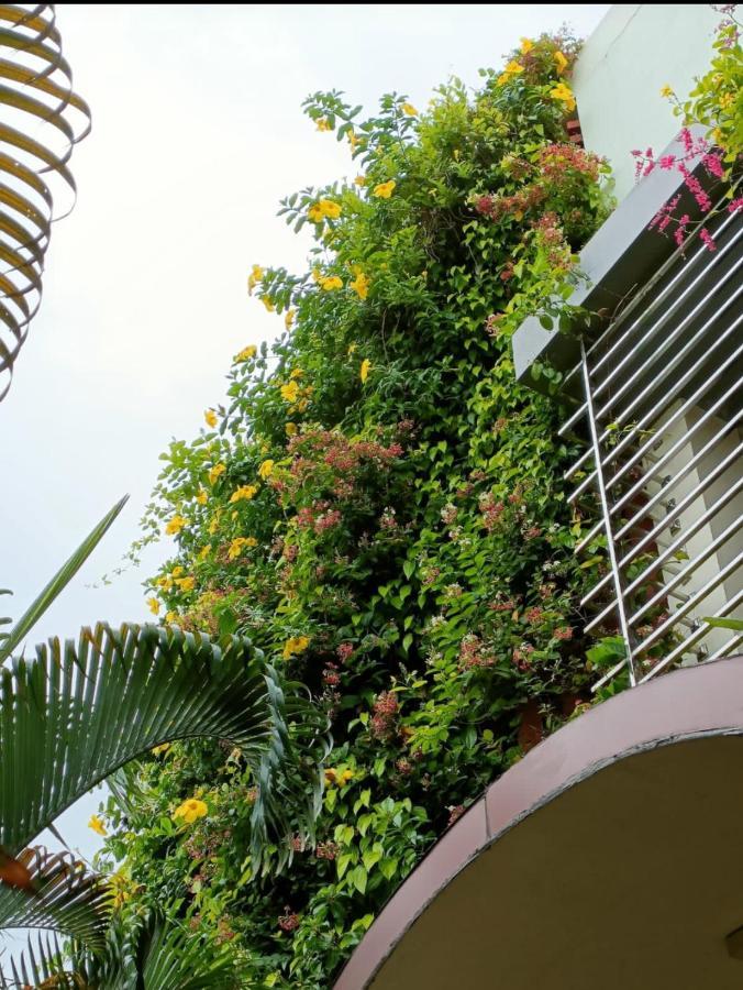 Mango Tree Homestay 亨比 外观 照片